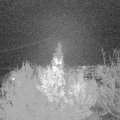 Webcam_20191127-180000