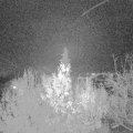 Webcam_20191127-213000