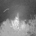 Webcam_20191127-220000