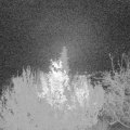 Webcam_20191128-050000