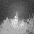 Webcam_20191128-053000