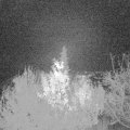 Webcam_20191128-063000