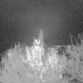Webcam_20191128-180000