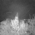 Webcam_20191128-183000