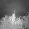 Webcam_20191128-210000