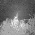 Webcam_20191128-213000