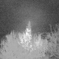 Webcam_20191129-050000