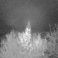 Webcam_20191129-053000