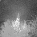 Webcam_20191129-060000