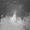 Webcam_20191129-063000