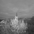 Webcam_20191129-170000