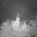 Webcam_20191129-173000