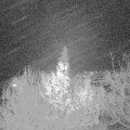 Webcam_20191129-183000