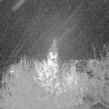 Webcam_20191129-193000