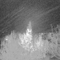 Webcam_20191129-200000