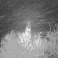 Webcam_20191129-213000