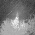 Webcam_20191130-050000