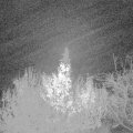 Webcam_20191130-060000