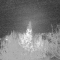 Webcam_20191130-200000