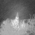 Webcam_20191130-213000