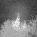 Webcam_20191201-053000