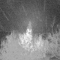 Webcam_20191201-063000