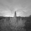 Webcam_20191201-073000