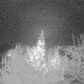 Webcam_20191201-193000
