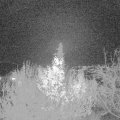 Webcam_20191201-203000