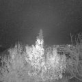 Webcam_20191202-183000
