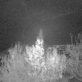 Webcam_20191202-200000
