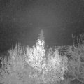 Webcam_20191202-203000