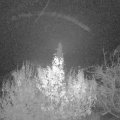 Webcam_20191203-050000