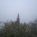 Webcam_20191203-113000
