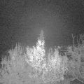 Webcam_20191203-220000