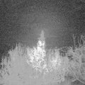 Webcam_20191204-053000