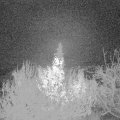 Webcam_20191204-060000