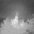 Webcam_20191204-063000