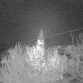 Webcam_20191204-180000