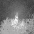 Webcam_20191204-200000