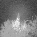 Webcam_20191205-053000