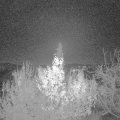 Webcam_20191205-063000