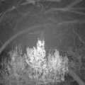Webcam_20191206-060000