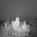 Webcam_20191206-170000