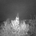 Webcam_20191206-193000
