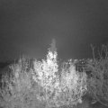 Webcam_20191206-200000