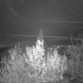 Webcam_20191206-203000