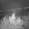 Webcam_20191206-213000