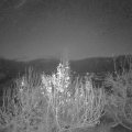 Webcam_20191210-070000