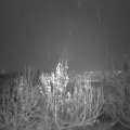 Webcam_20191211-173000